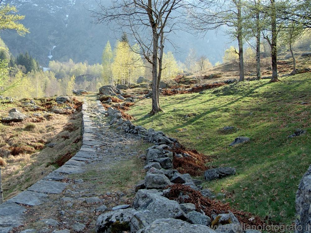 Desate at Rosazza (Biella, Italy) - Landscape